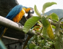 Imagen Eco Zoológico San Martín